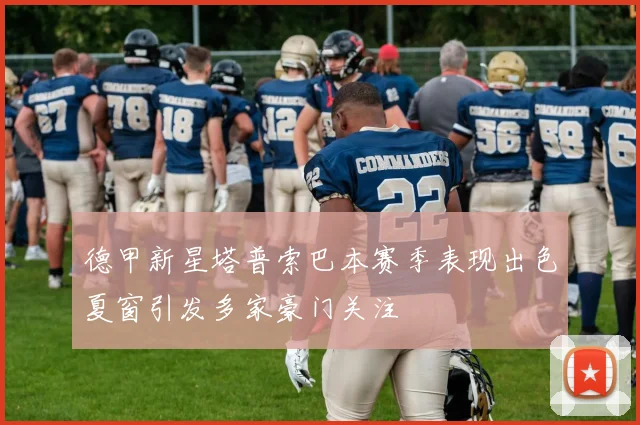 德甲新星塔普索巴本赛季表现出色夏窗引发多家豪门关注