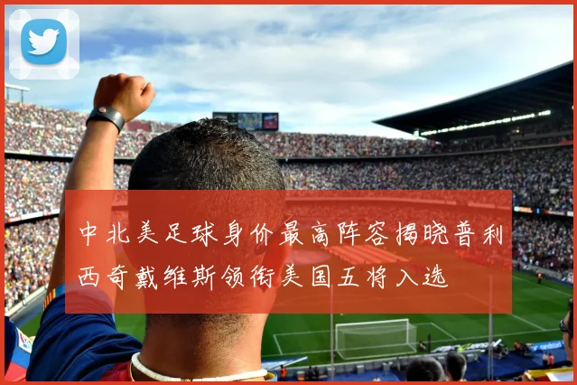 中北美足球身价最高阵容揭晓普利西奇戴维斯领衔美国五将入选
