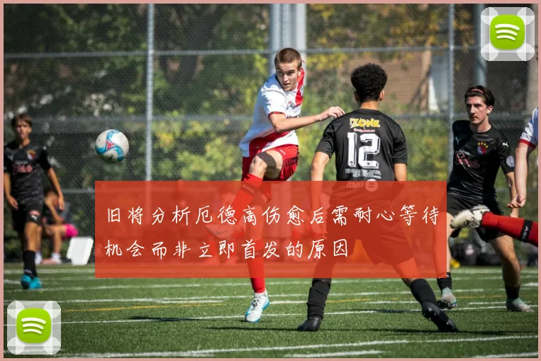 旧将分析厄德高伤愈后需耐心等待机会而非立即首发的原因