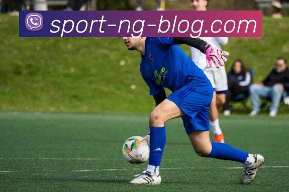 南宫体育APP 封面图